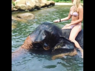 bath with elephant